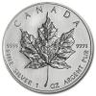 Kanadensisk Silver Maple - 1 oz