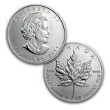 Kanadensisk Silver Maple - 1 oz