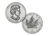 Kanadensisk Silver Maple - 1 oz Varierande &aring;rtal