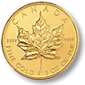 Kanadensisk Gold Maple - 1 oz - Varierande &aring;rtal