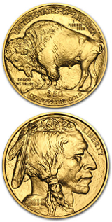 Amerikansk Guld Buffalo - 1 oz - 2013
