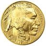 Amerikansk Gold Buffalo - 1 oz - 2017