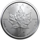 Kanadensisk Silver Maple - 1 oz 2021