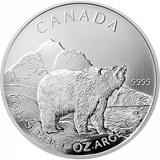 Kanadensiska Wildlife Serien - Grizzlybjörnen